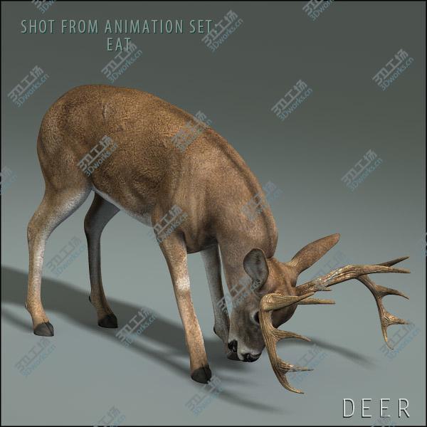 images/goods_img/20210113/Deer (ANIMATED)/5.jpg